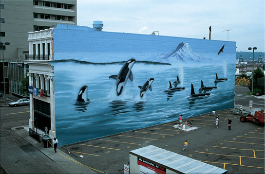 Washington Orcas