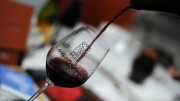 Lendületet kap a magyar borturizmus