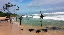 Srí Lankán a halászok cölöpökön halásznak az indiai-óceánban