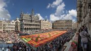 Flower Carpet rendezvény Brüsszel főterén
