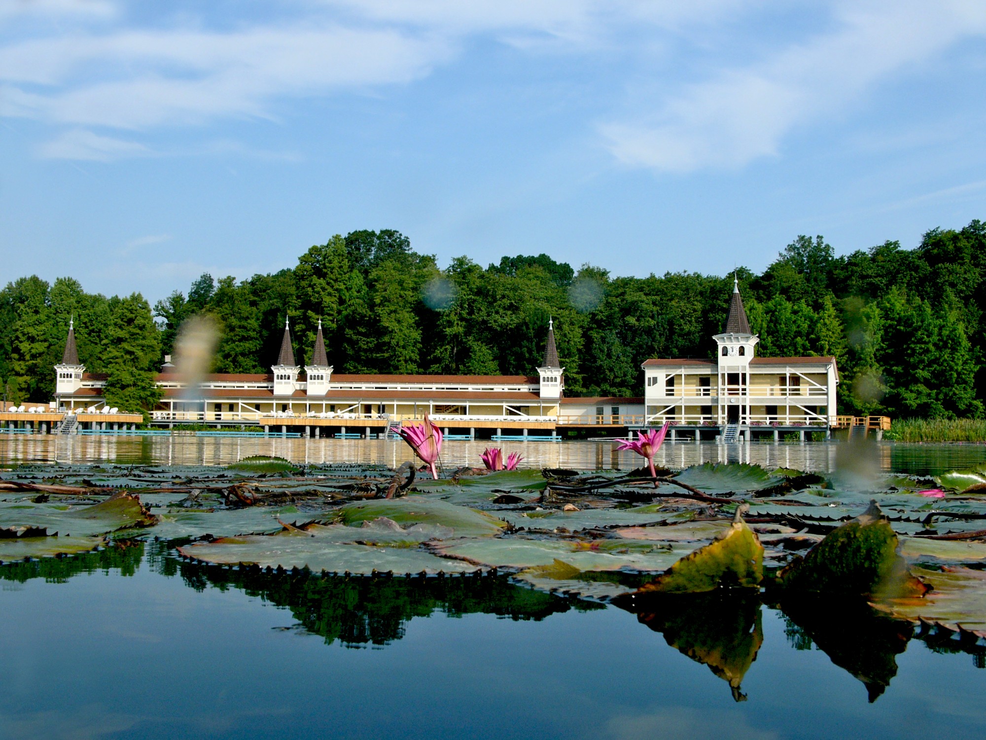 Világbajnok tündérrózsás tó a Balaton mellett
