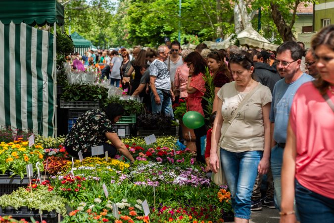Újra megrendezik a Gyulai Virágok Fesztiválját