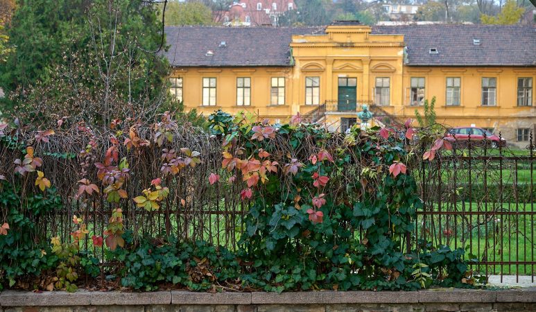 Védett történeti kert lett a Budai Arborétum