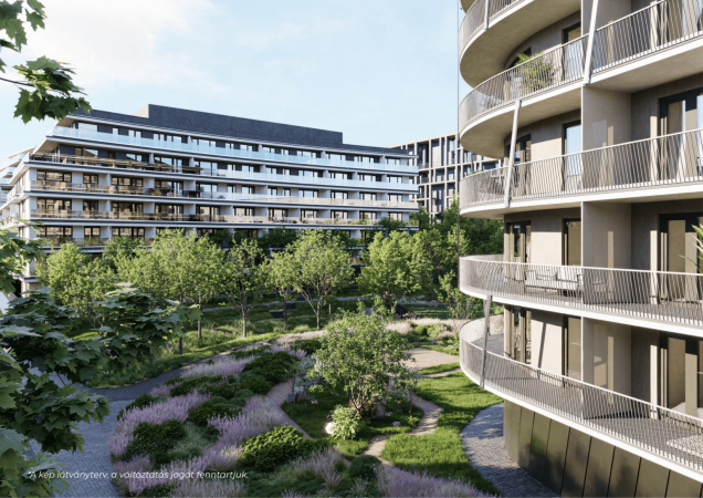 Beluga Garden – Zöldbe borult otthonok