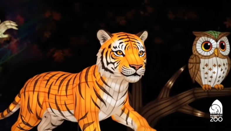 Kínai lampionparádé a Budapest Zooban