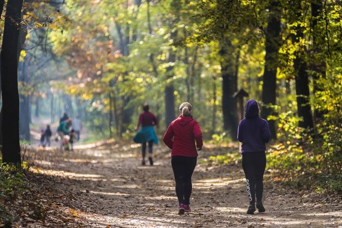 Sóstói-erdő: Nyíregyháza zöld menedéke, ahol legendák és erdei élmények várnak