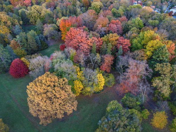 Pepi-kert: téli csodák az ország legnagyobb arborétumában