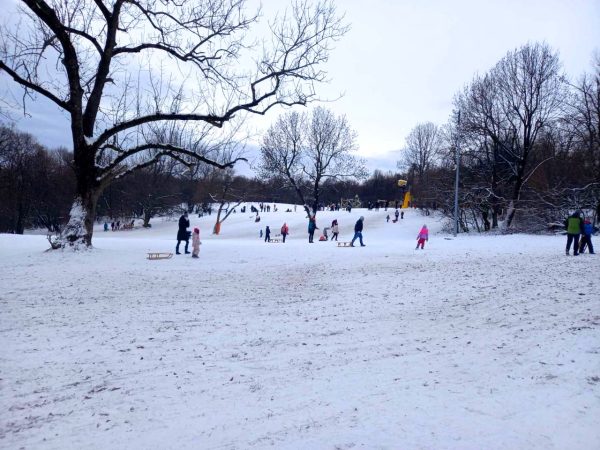 Estig kivilágított pályákkal megnyílt a Normafa szánkó- és sífutópályája